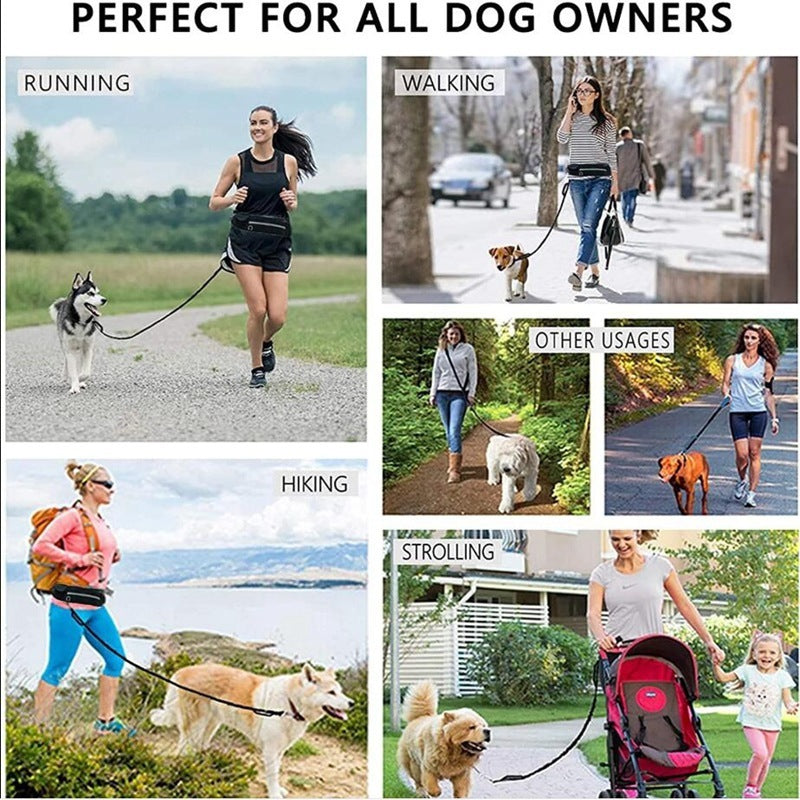 Laisse pour chiens ceinture de traction mains libres