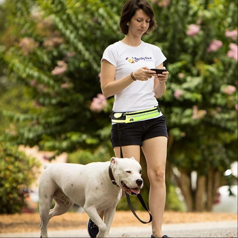 Laisse pour chiens ceinture de traction mains libres