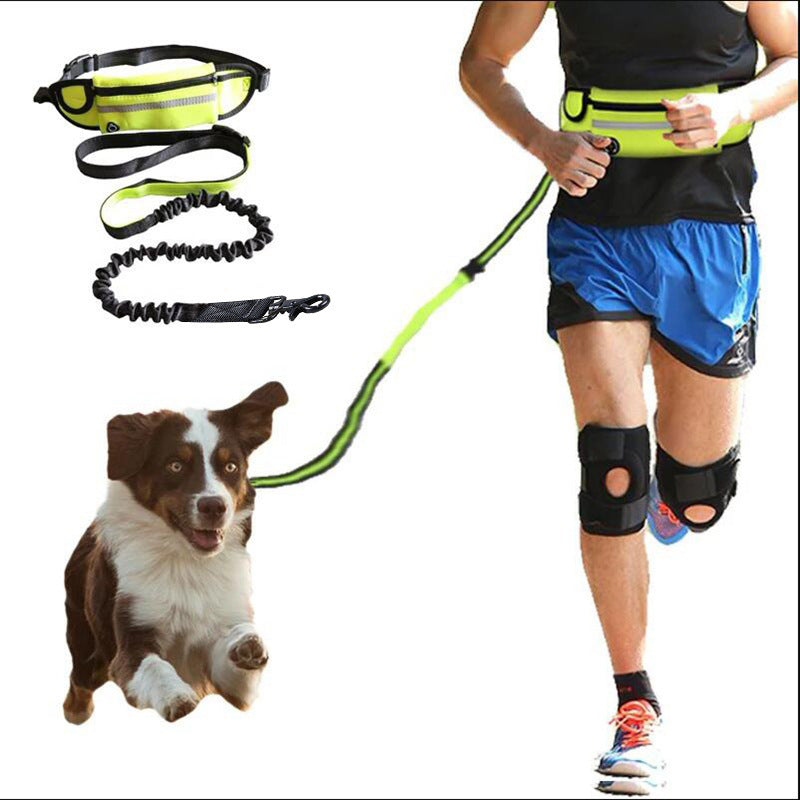 Laisse pour chiens ceinture de traction mains libres