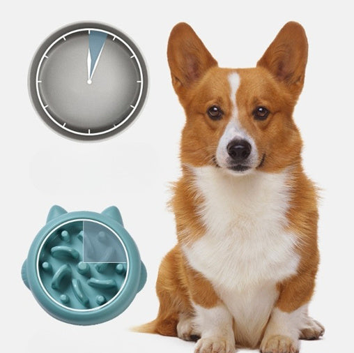 Bol d'alimentation lente pour chiens et chats