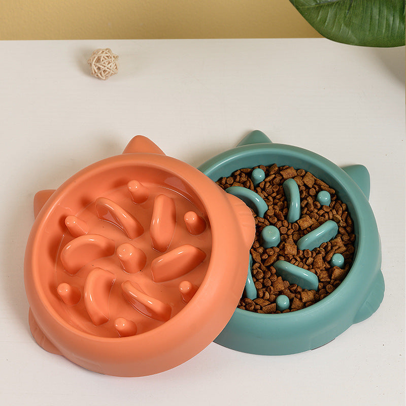 Bol d'alimentation lente pour chiens et chats