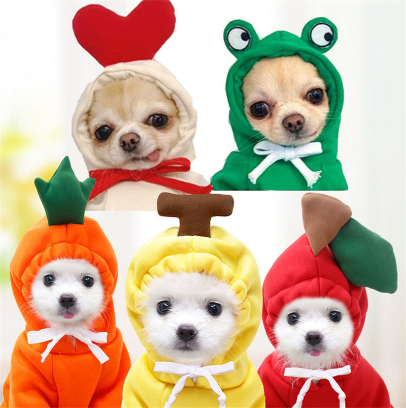 Sweat pour petit chiens