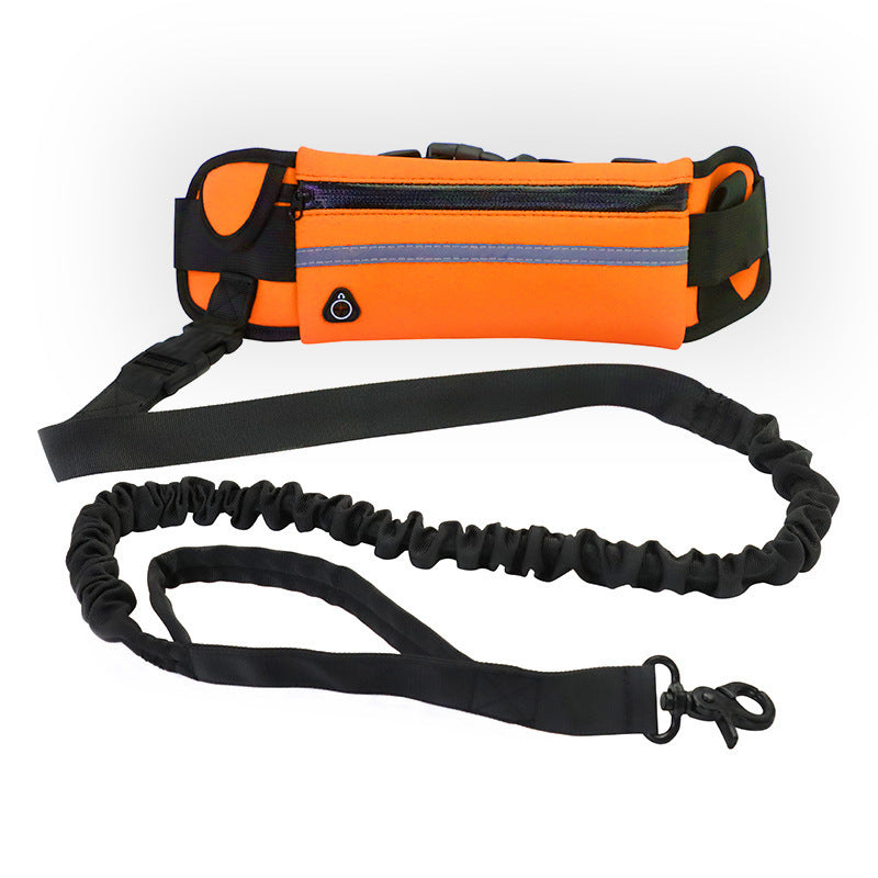 Laisse pour chiens ceinture de traction mains libres