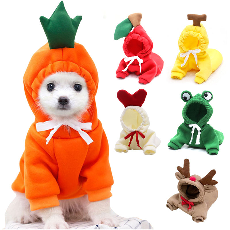Sweat pour petit chiens