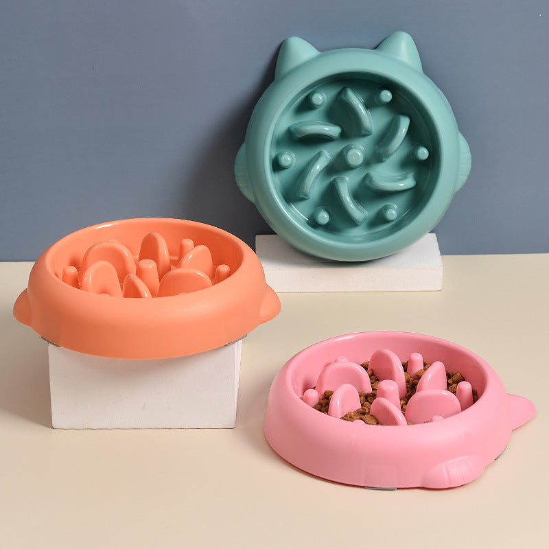 Bol d'alimentation lente pour chiens et chats