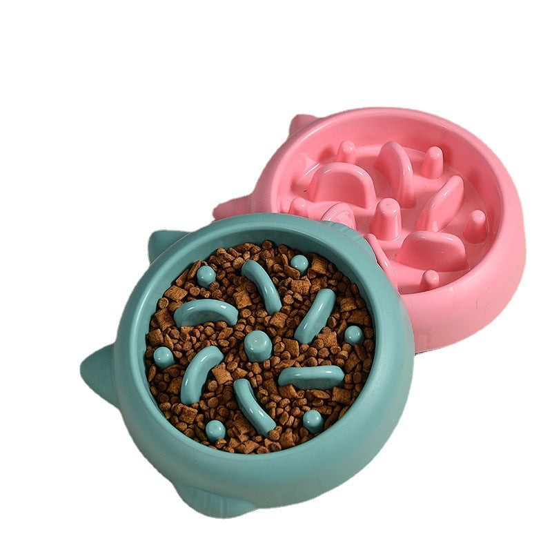 Bol d'alimentation lente pour chiens et chats