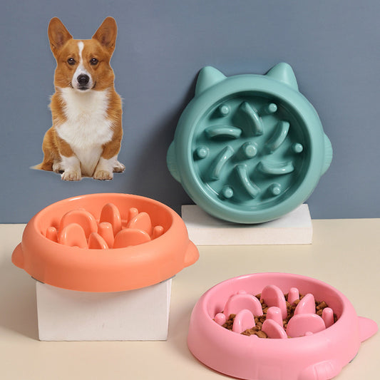 Bol d'alimentation lente pour chiens et chats