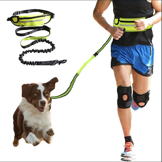 Laisse pour chiens ceinture de traction mains libres