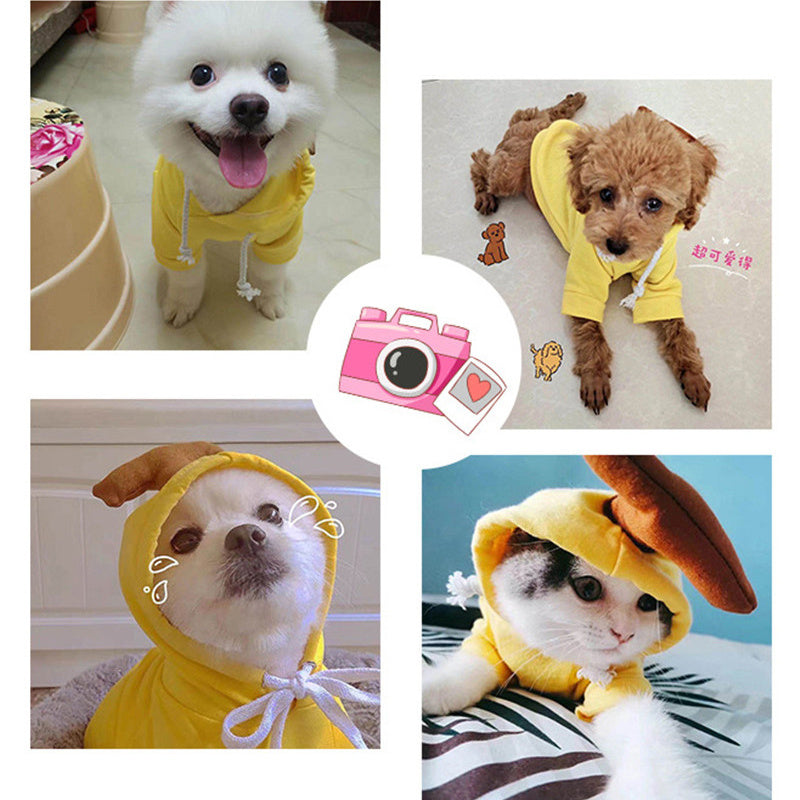 Sweat pour petit chiens