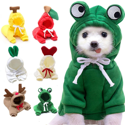 Sweat pour petit chiens