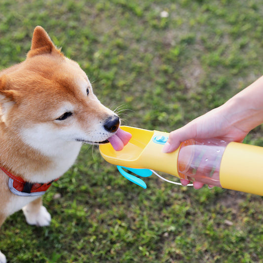 Gourde portable pour chiens